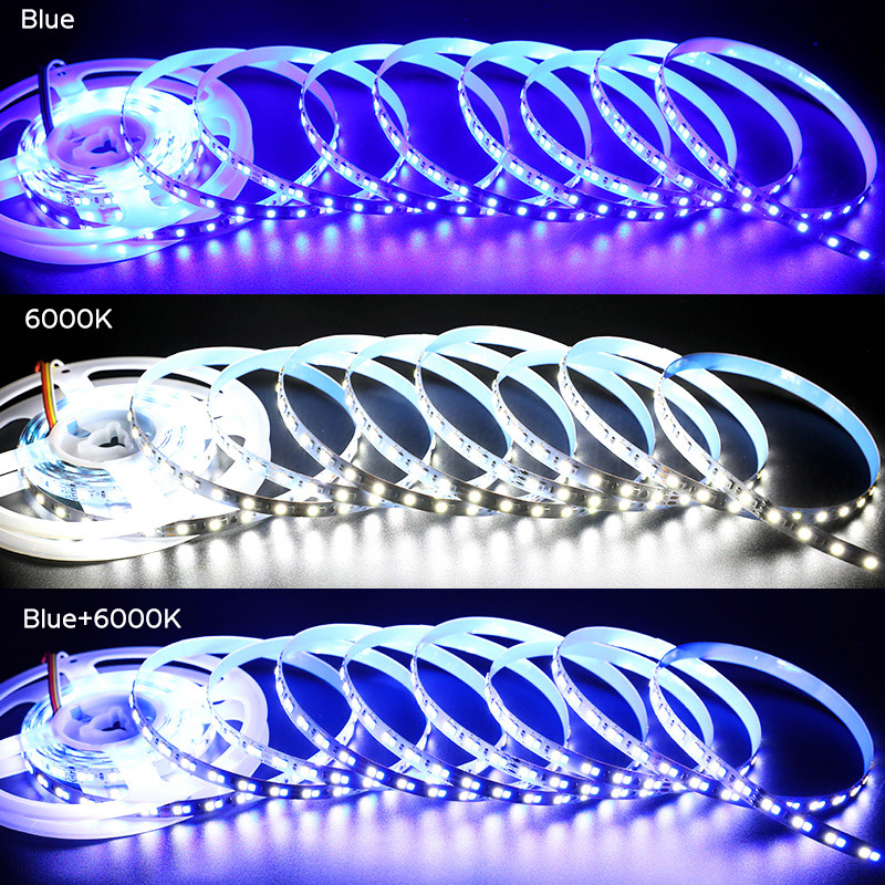 DC24V 2835 Dual Color Blue and White LED Strip Lights 840 LEDs DC24V 2835 Dual Color Blue and White LED Strip Lights 840 LEDs