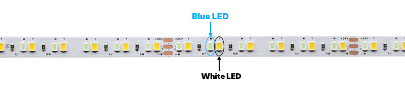 DC24V 2835 Dual Color Blue and White LED Strip Lights Detail View