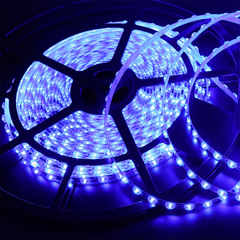 DC24V Diffuse Lichter Linse Helle Blaue LED Streifen Licht Flexible