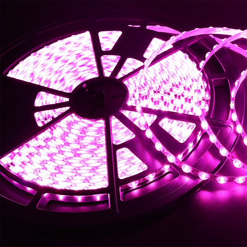 DC24V Diffuse Reflexionen Optische Linse Flexibles rosa LED-Bandlicht