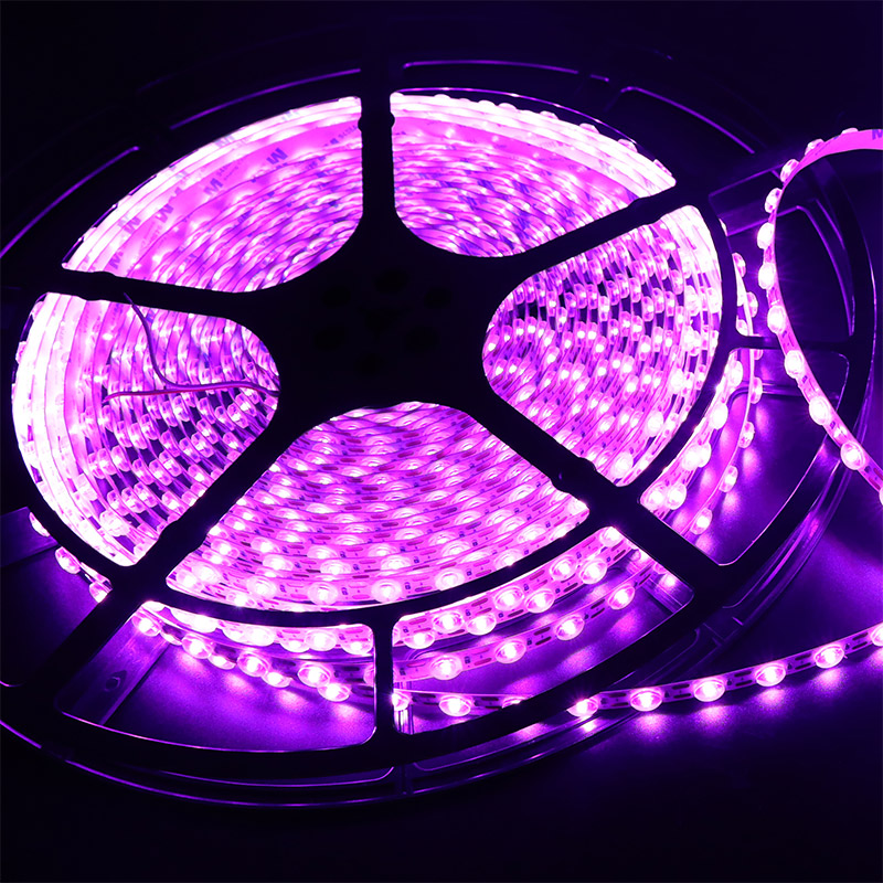 DC24V Diffused Lighting Flexibler violetter LED-Streifen mit Linse
