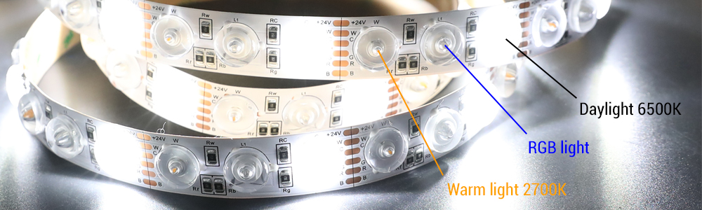 Optic Lens LED RGB+WW+DW Strip
