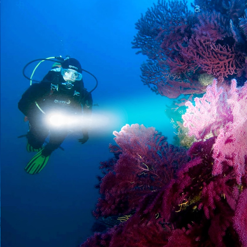 Dive Torch Light