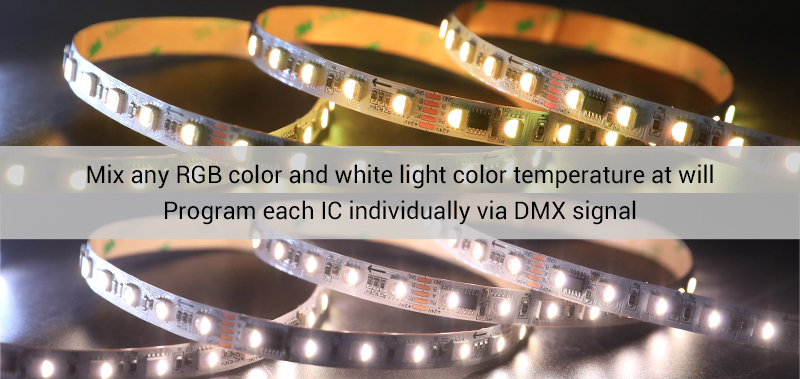 DMX Addressable LED RGBW Strip Light (72 LEDs/m with 12 ICs)