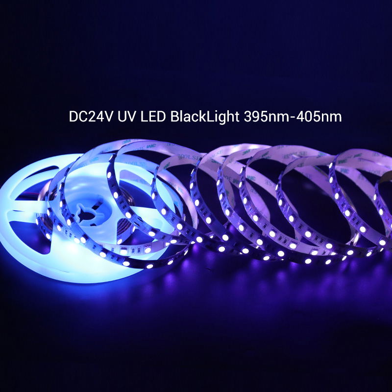 DC24V UV (Ultraviolet) LED Strips 395-405nm Flexible LED BlackLight in White PCB, For Sterilization, Halloween Party DC24V UV (Ultraviolet) LED Strips 395-405nm Flexible LED BlackLight in White PCB, For Sterilization, Halloween Party