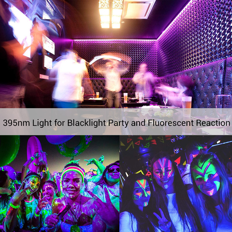 DC24V UV (Ultraviolet) LED Strips 395-405nm Flexible LED BlackLight in White PCB, For Sterilization, Halloween Party DC24V UV (Ultraviolet) LED Strips 395-405nm Flexible LED BlackLight in White PCB, For Sterilization, Halloween Party