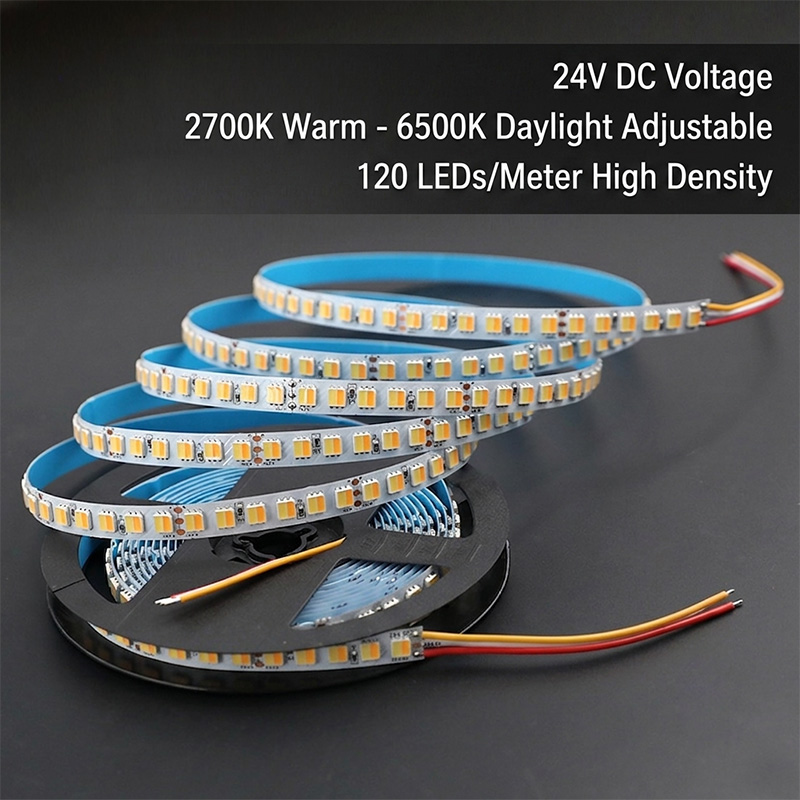 Single Row DC24V 5050SMD 600LEDs 2in1 Flexible LED Strip Light - Color Temperature Pure White+Warm White Single Row DC24V 5050SMD 600LEDs 2in1 Flexible LED Strip Light - Color Temperature Pure White+Warm White