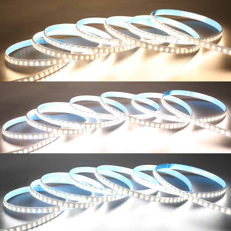 Single Row DC24V 5050SMD 600LEDs 2in1 Flexible LED Strip Light - Color Temperature Pure White+Warm White Single Row DC24V 5050SMD 600LEDs 2in1 Flexible LED Strip Light - Color Temperature Pure White+Warm White