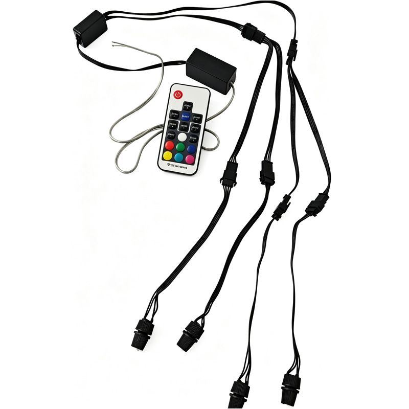DC12V 2W 2/4 Heads 24 Key Remote RGB Side Glow Fiber Optic Light Source Illuminator DC12V 2W 2/4 Heads 24 Key Remote RGB Side Glow Fiber Optic Light Source Illuminator