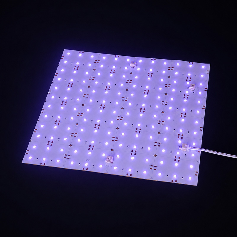 DC24V 10W 365nm UV LED Black Light Sheet Flex 245*245mm