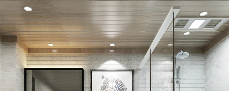 LED Waterproof Downlight